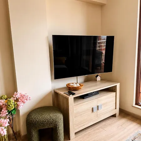 Lowtide Penthouse, Gezellig Duplex Appartement, Met Lift En Ruim Terras * بلانكنبرخ